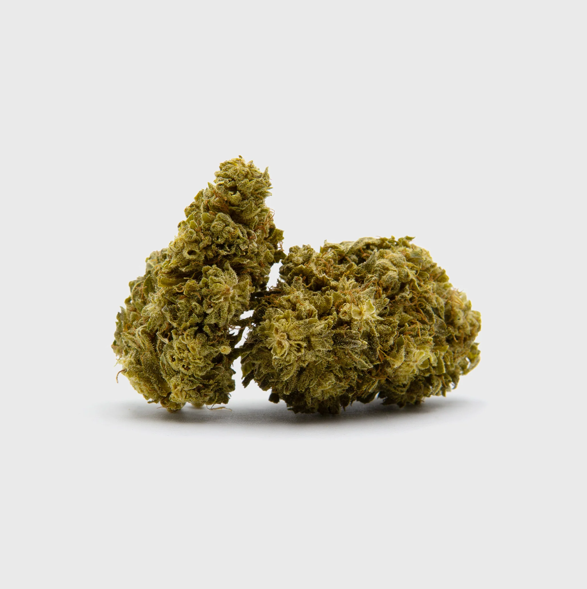 🔥 Amnesia Extreme - Image 3