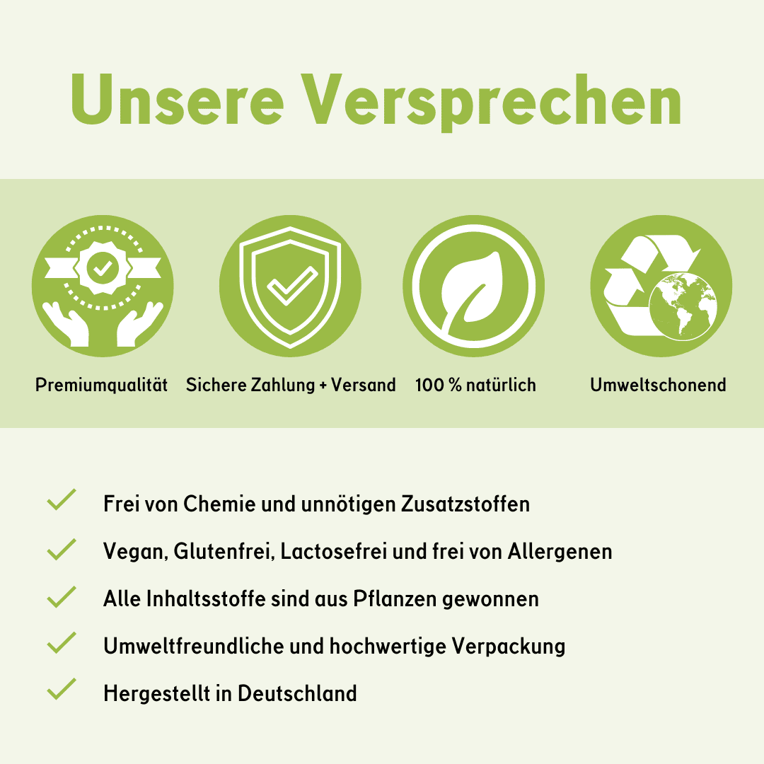 🌱 CBD+Ingwer Naturextrakt PREMIUM Öl 10ml - Image 4