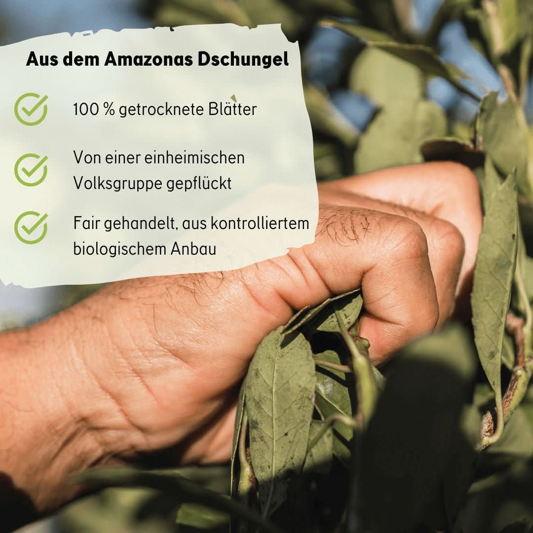 Guayusa x Forbidden Fruit - Image 4