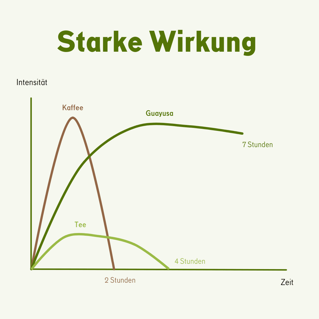 Guayusa x Forbidden Fruit - Image 5